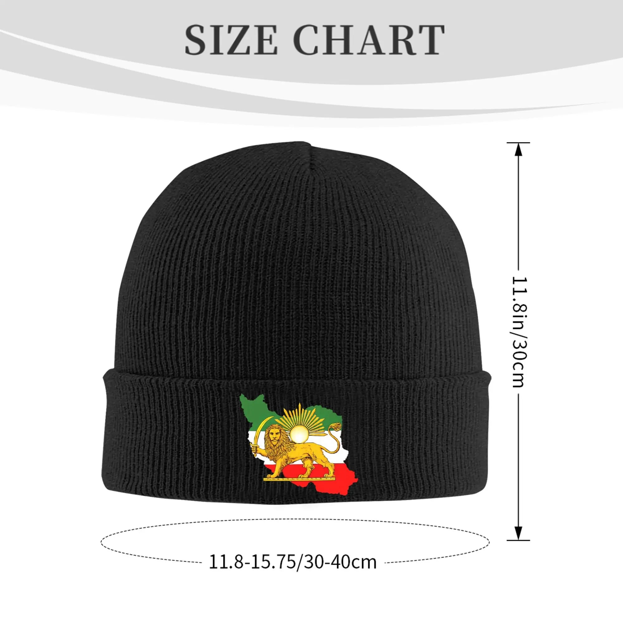 Iran Lion & Sun Heritage Beanie Hat — Vintage Persian Emblem Winter Cap