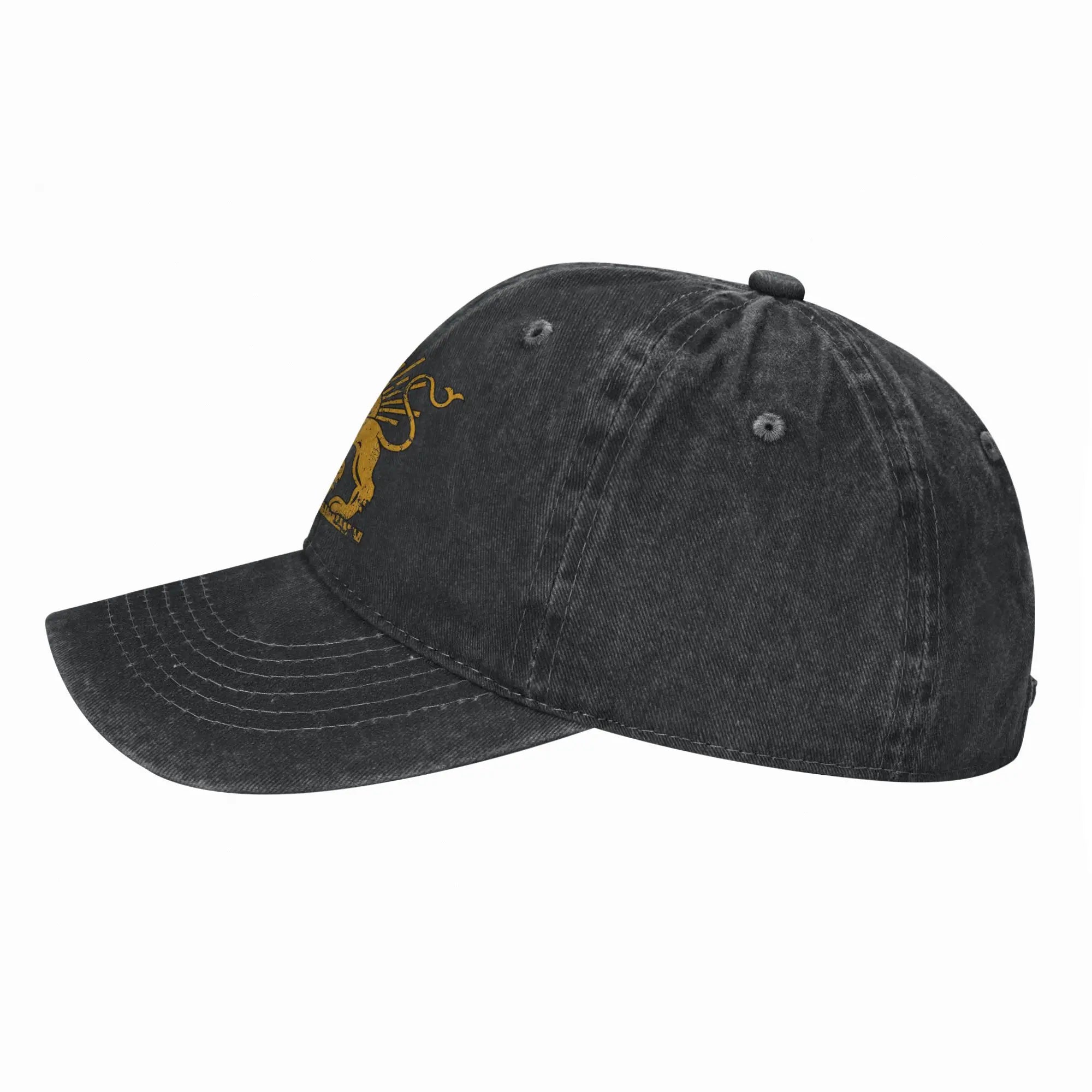 Iran Lion & Sun Flag Baseball Cap — Unisex Breathable Trucker Hat for Hiking & Casual Wear
